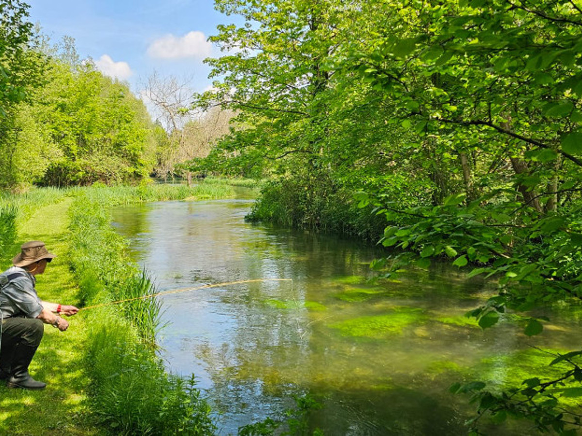 Picture of Shawford Park on the River Itchen