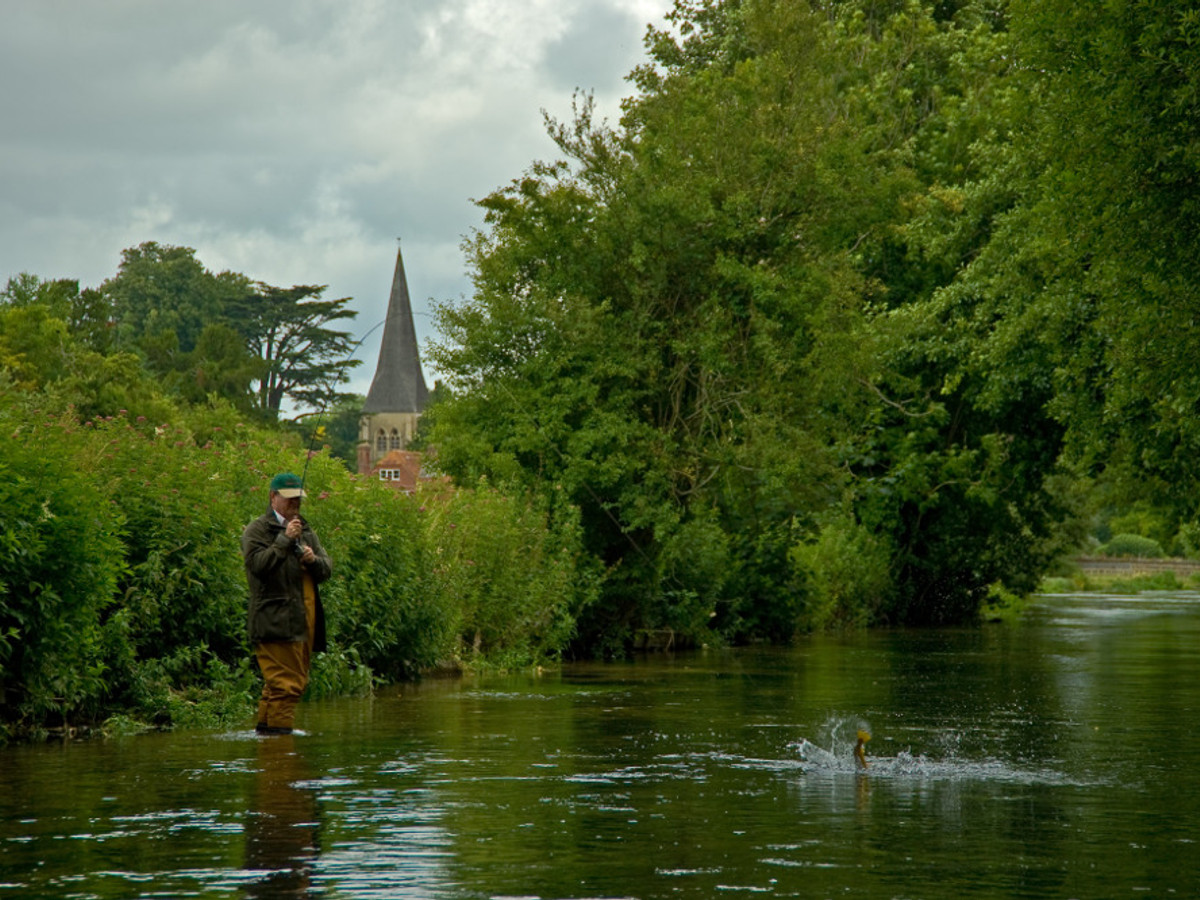 View of the Whitchurch Fulling Mill fishing beat on the River Test