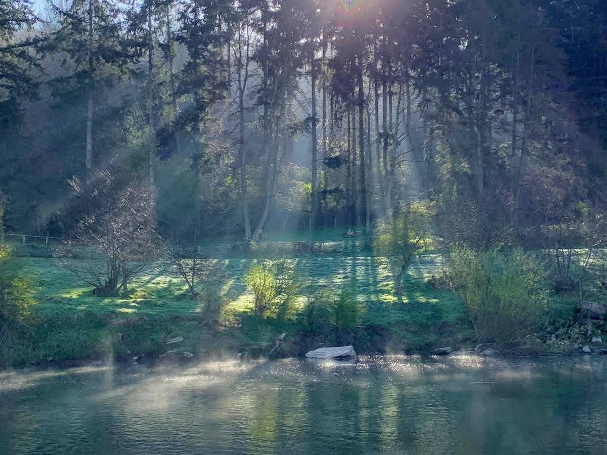 Ingestone Fishery