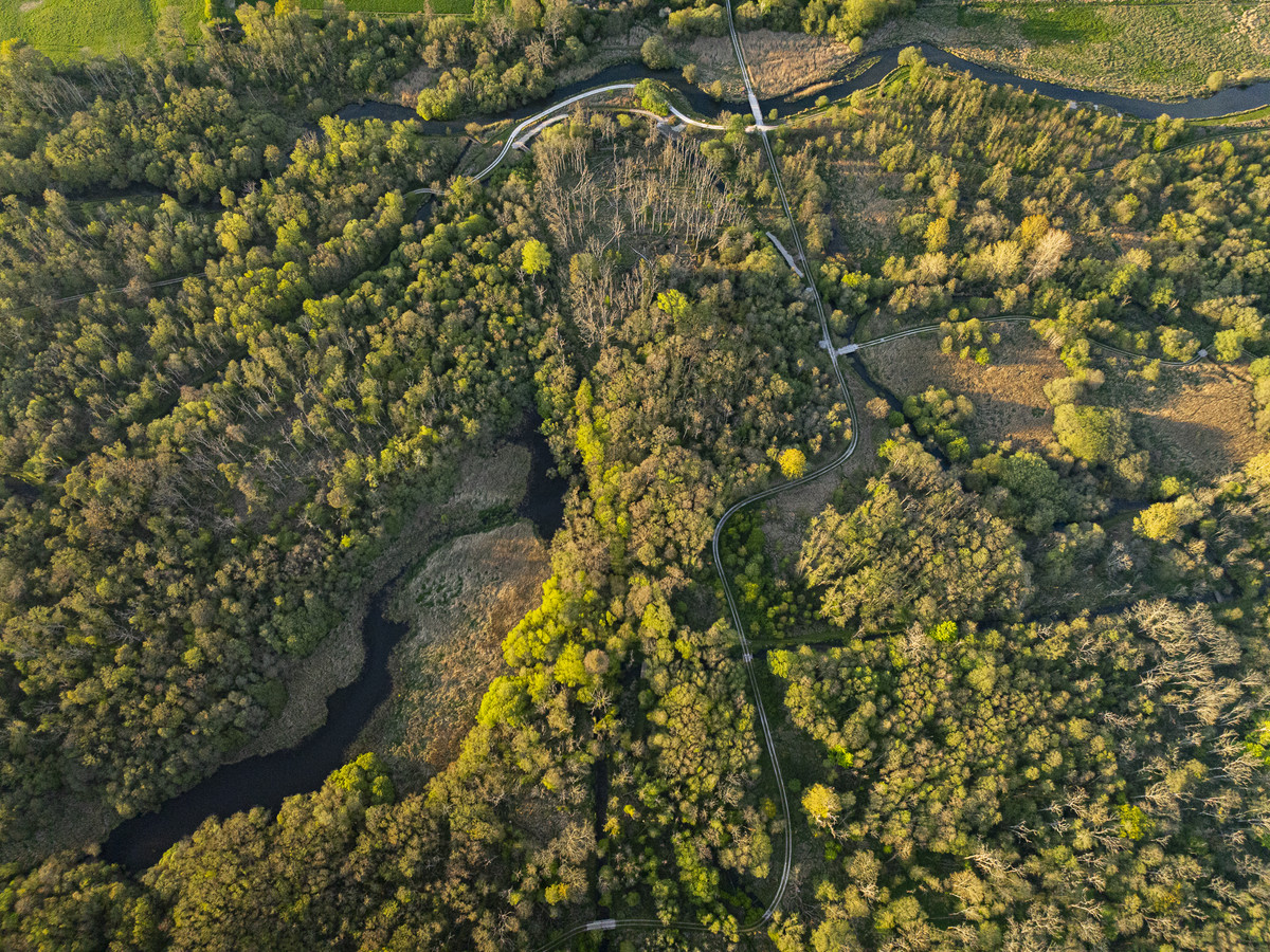 Arial view of the Wilderness fishing beat on the river Kennet