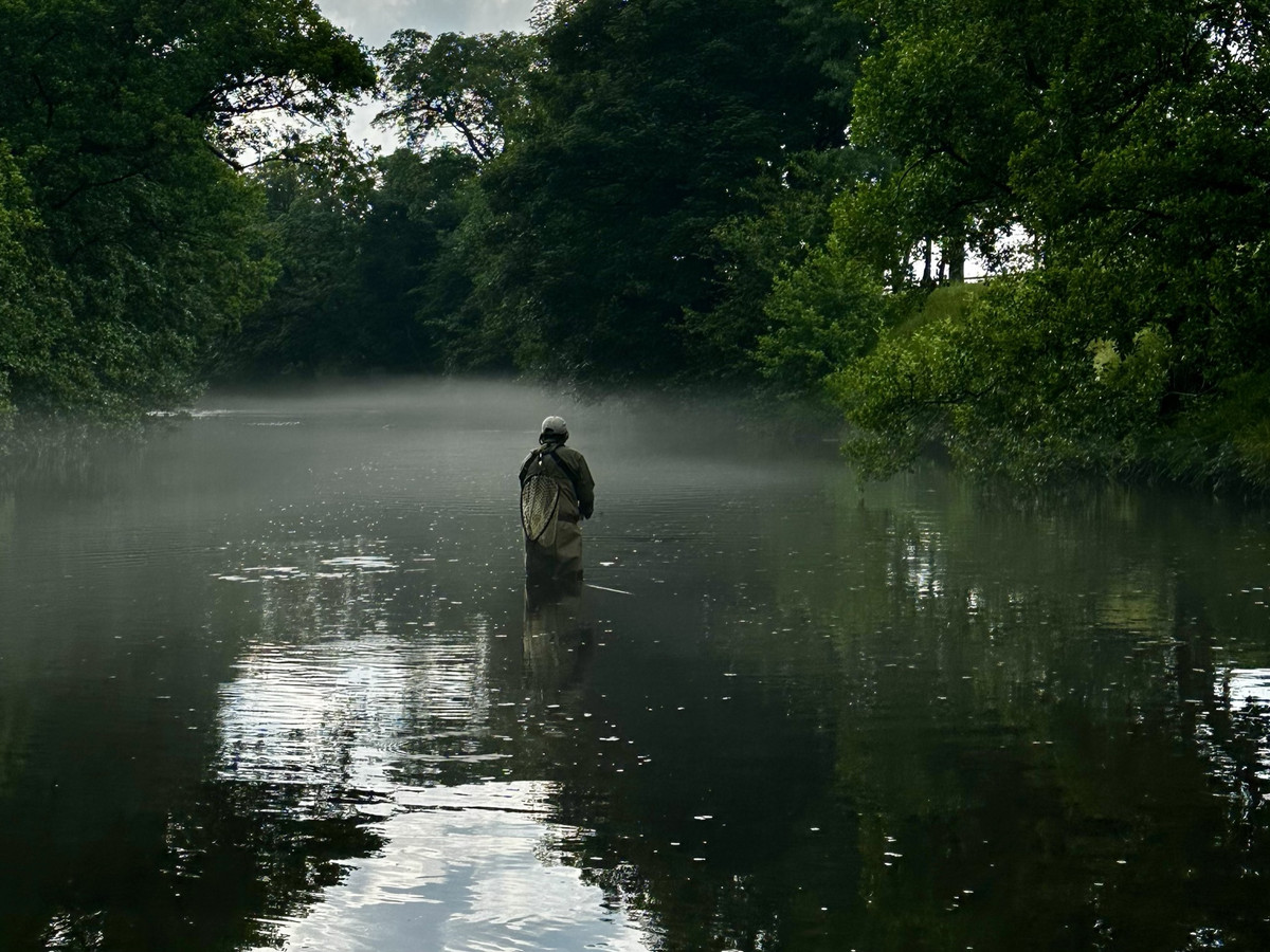 An angler wading a misty tree-lined river