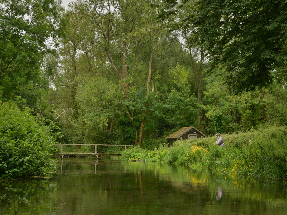 Picture of the river Anton at Upper Clatford
