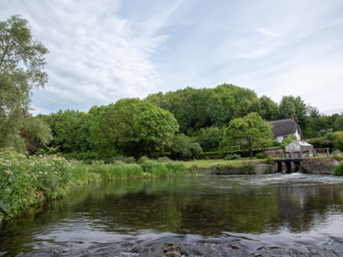 View of the Coombe Mill & Kingfisher Lodge fishing beat on the River Avon