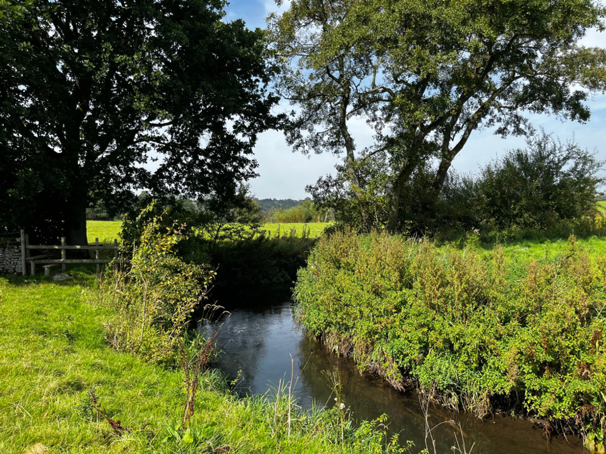 View of the Cotton's Fishing Temple fishing beat on the River Dove