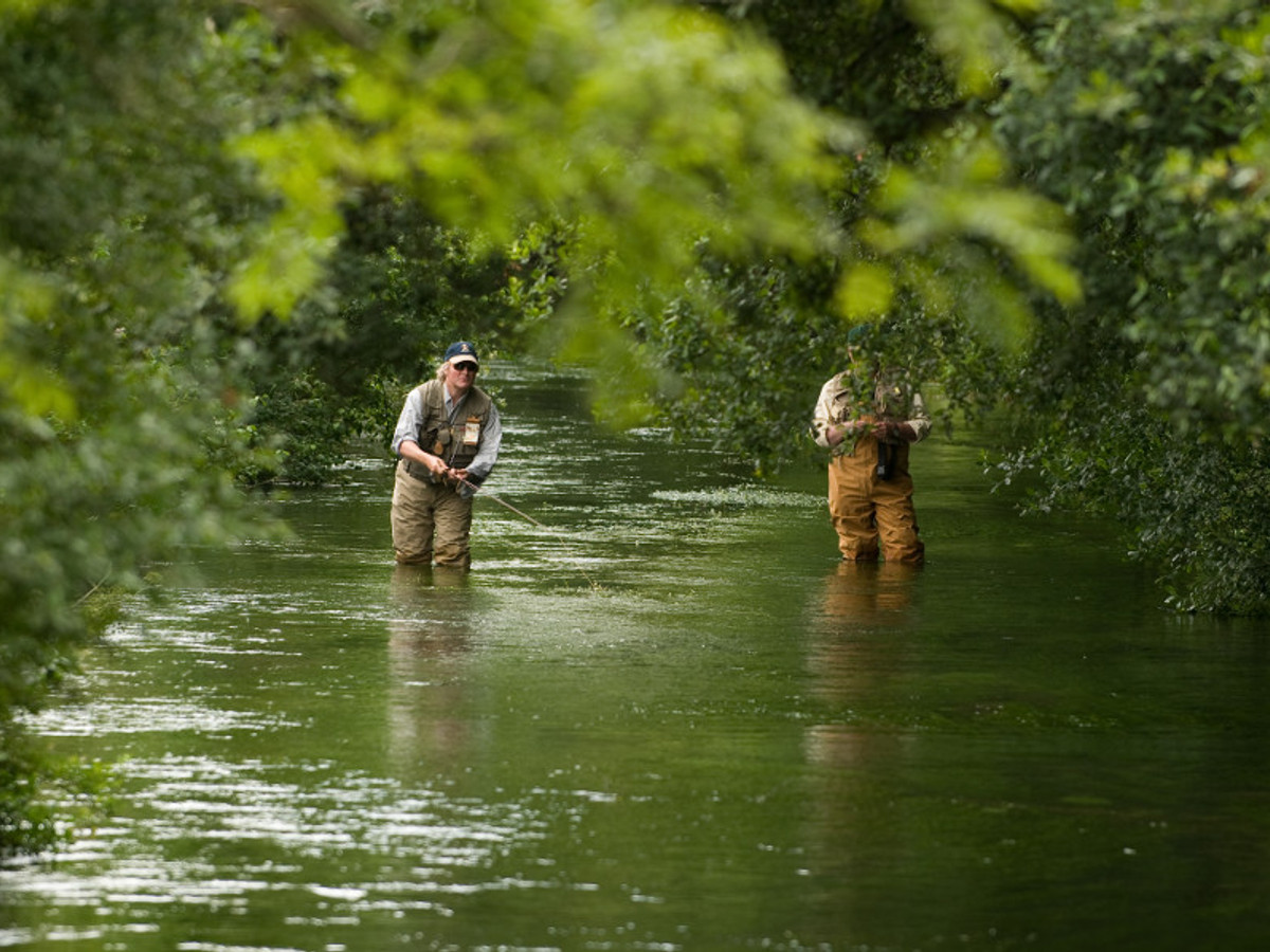 View of the Wimborne St. Giles fishing beat on the River Allen