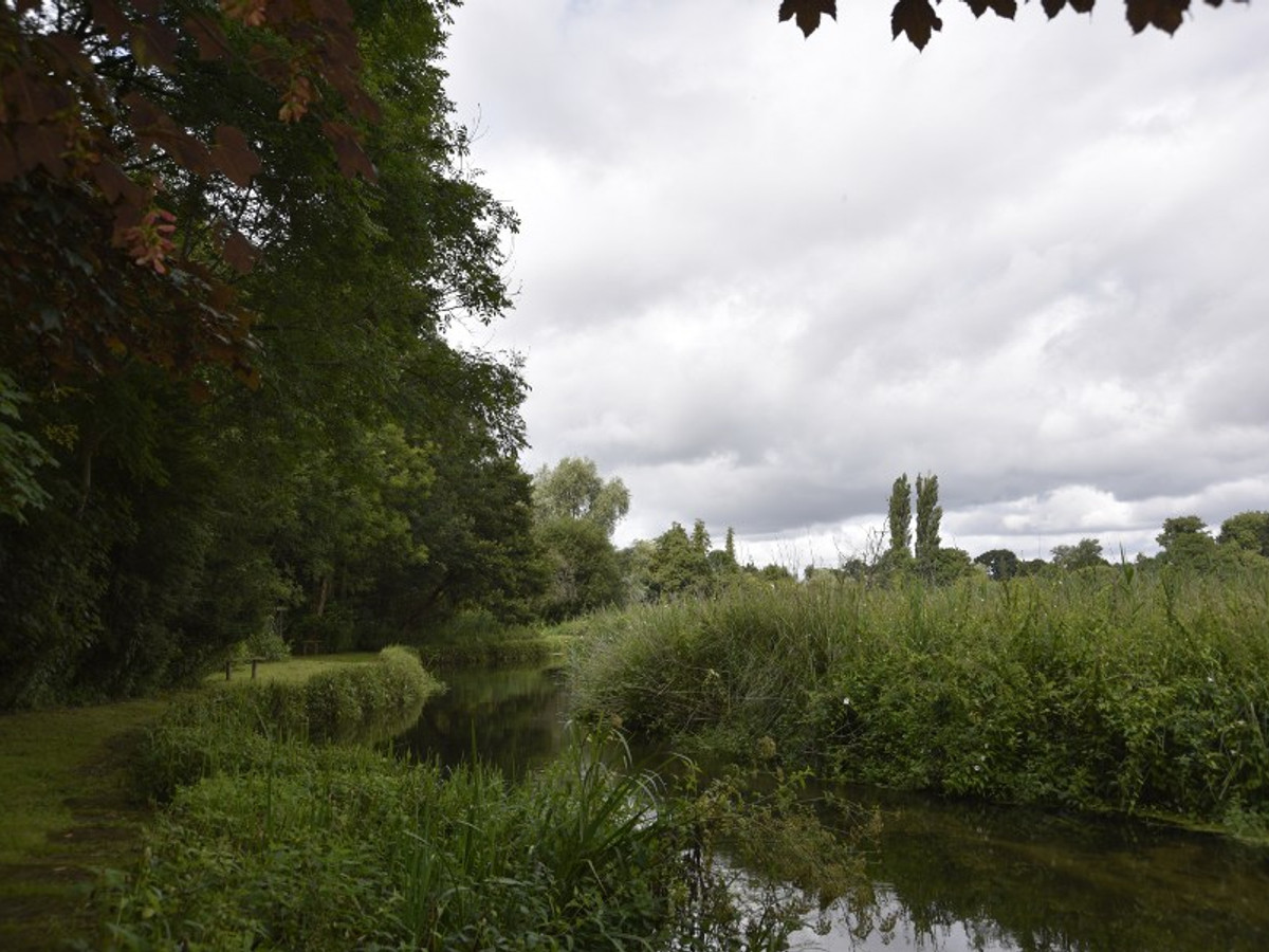 Picture of the river Itchen at Qing Ya Xi