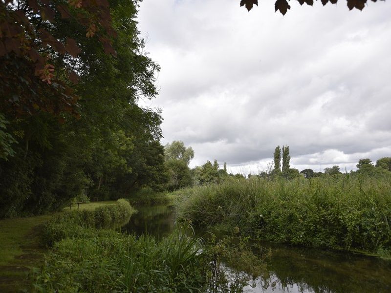 Picture of the river Itchen at Qing Ya Xi