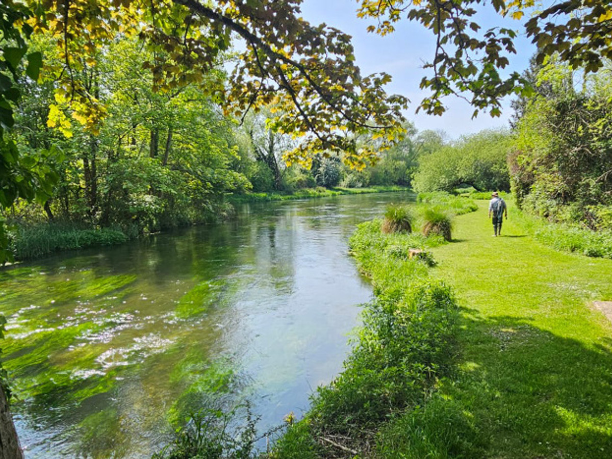 Picture of Shawford Park on the River Itchen