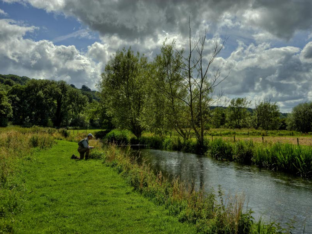 Picture of fishing at Compton Chamberlayne on the River Nadder