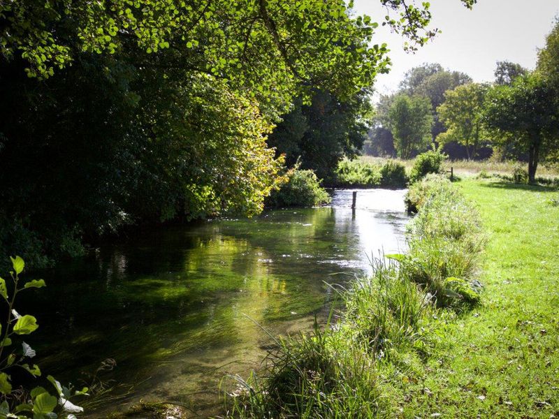 Timsbury 5