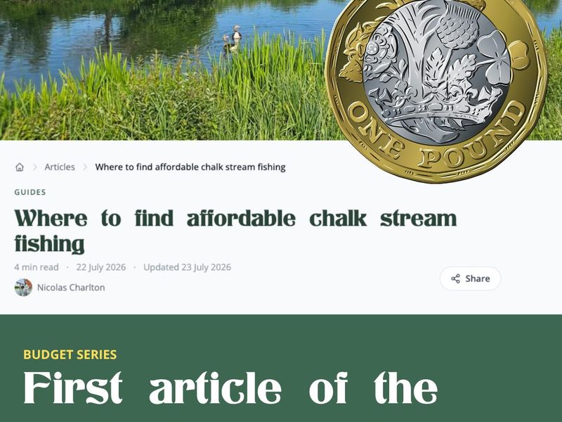 A mayfly day on a famous middle-Test beat can run £300 to £550, and that number ends up standing in 