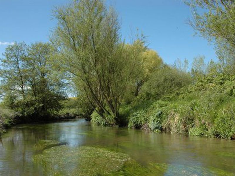 Upavon Farm