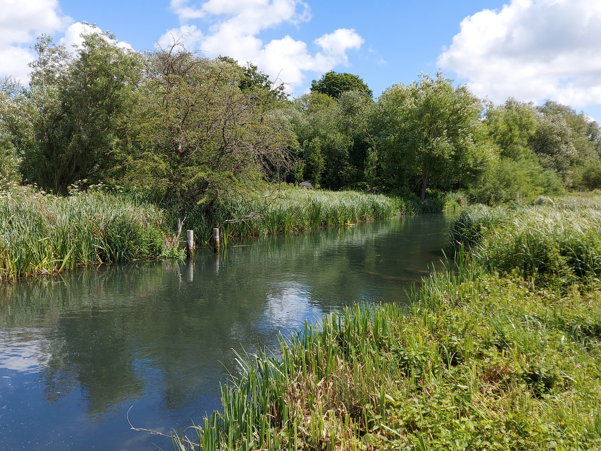 View of ramsbury mill fishing beat