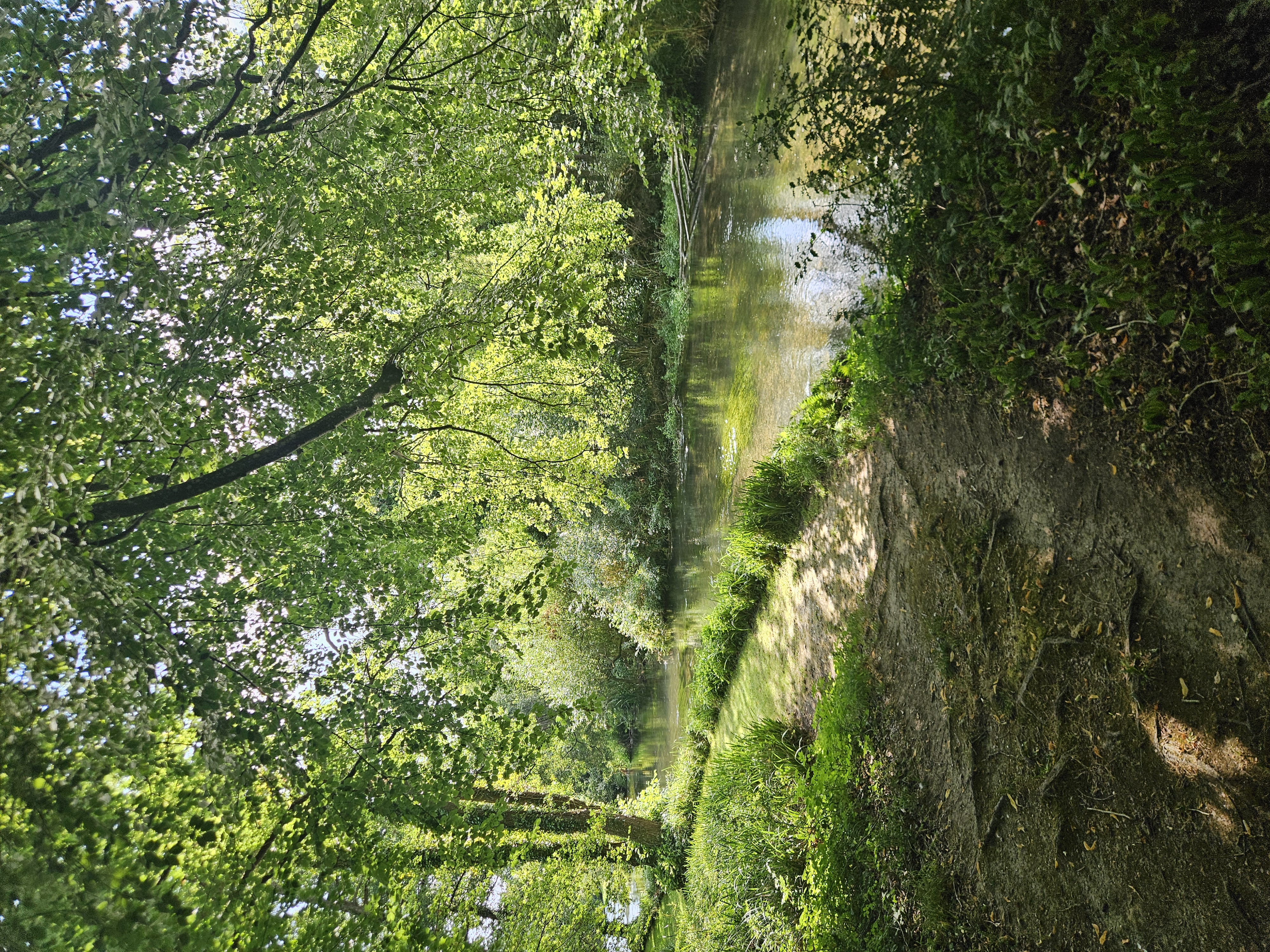 Picture of a chalkstream