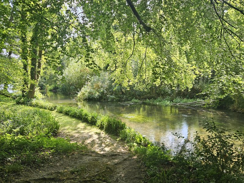 Picture of a chalkstream