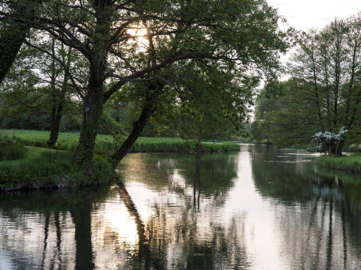 View of the Timsbury fishing beat on the River Test