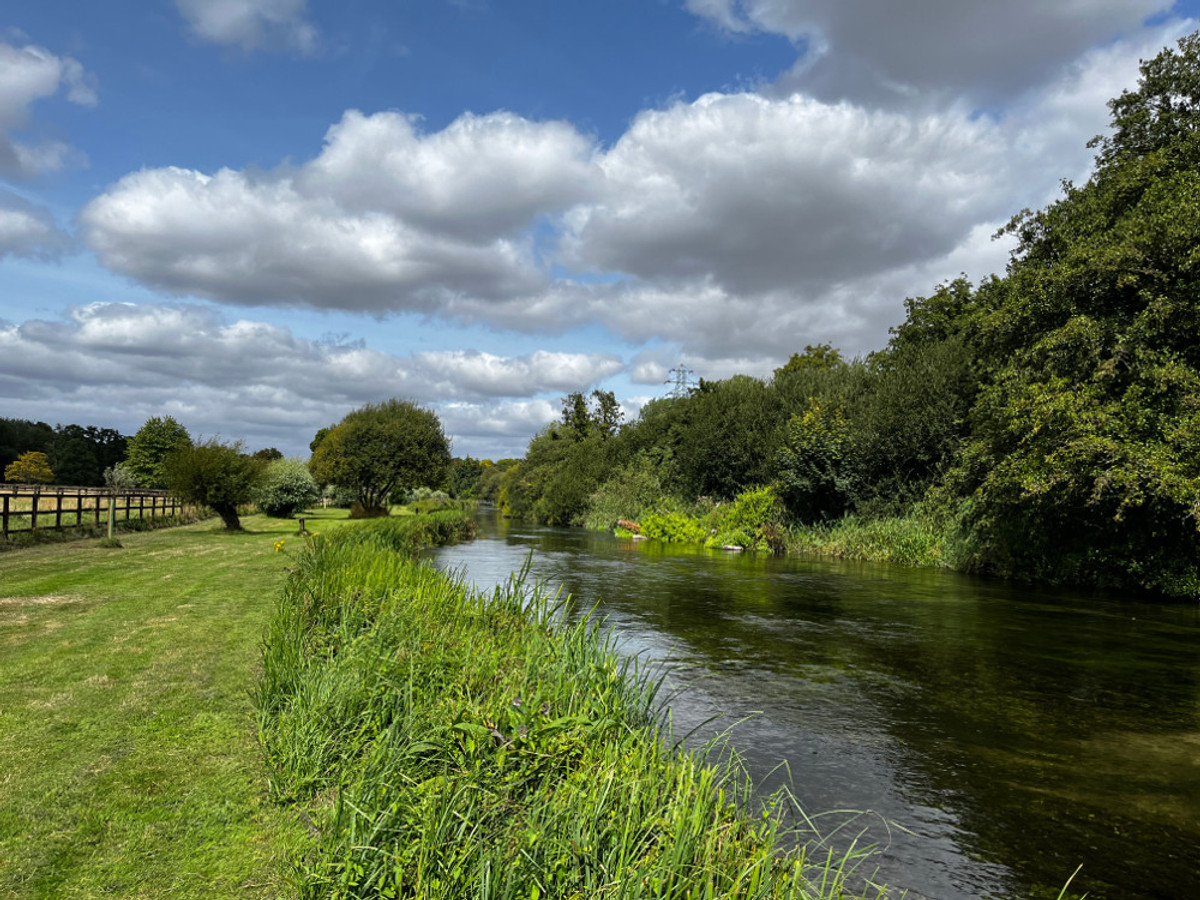 View of the Kimbridge fishing beat on the River Test