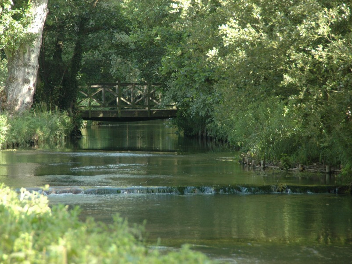 View of the School Farm fishing beat on the River Test