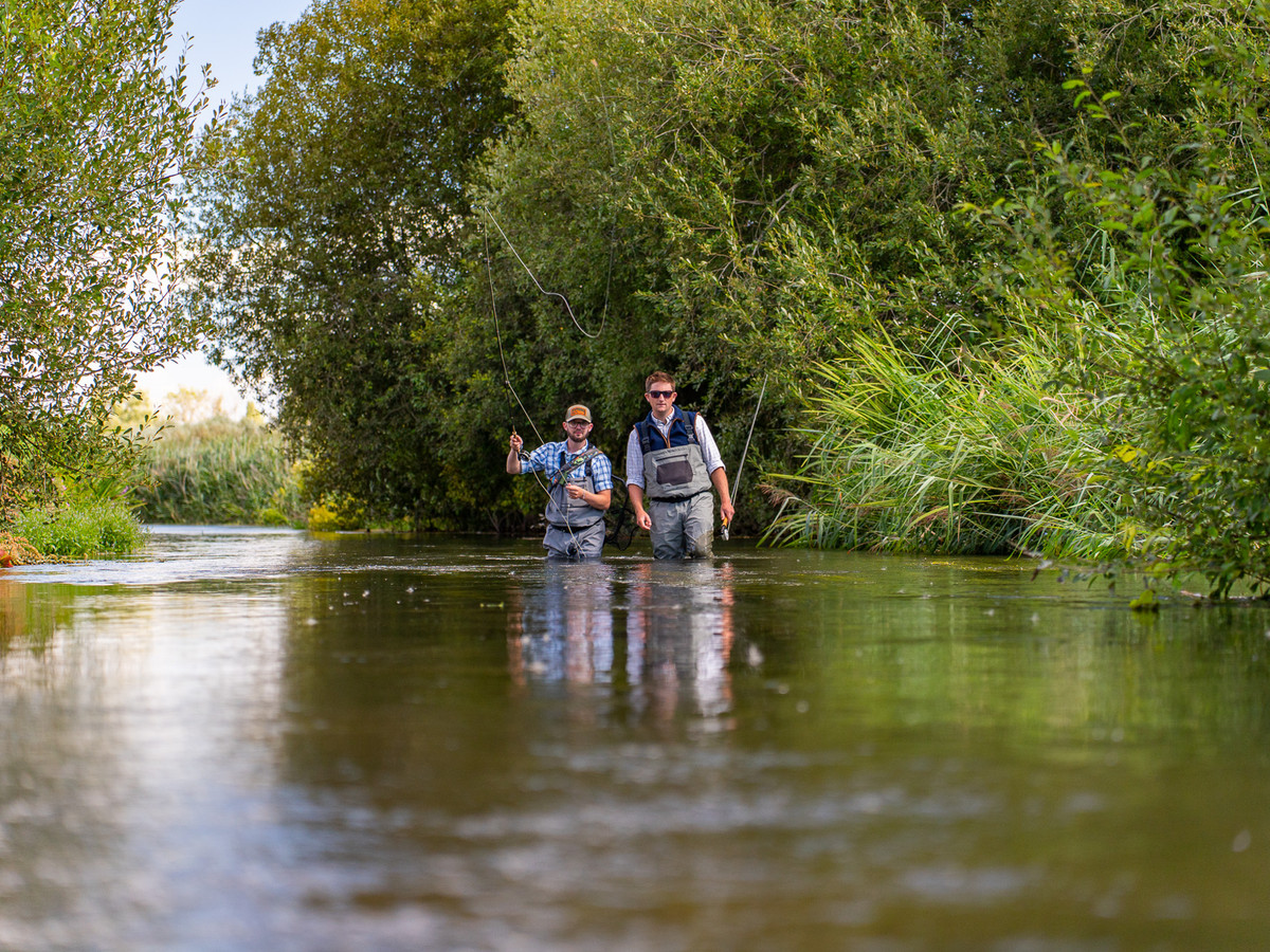 Wilde Trout guiding at Benham Park