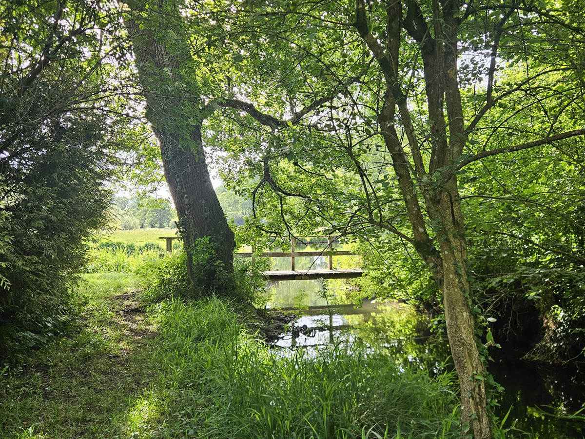 Picture of a small carrier stream merging into the river Test