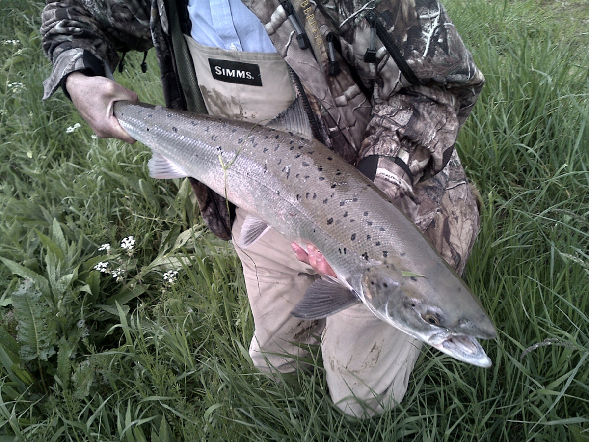 View of the Ilsington fishing beat on the River Frome