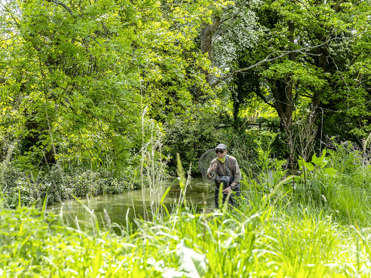 View of the River Meon
