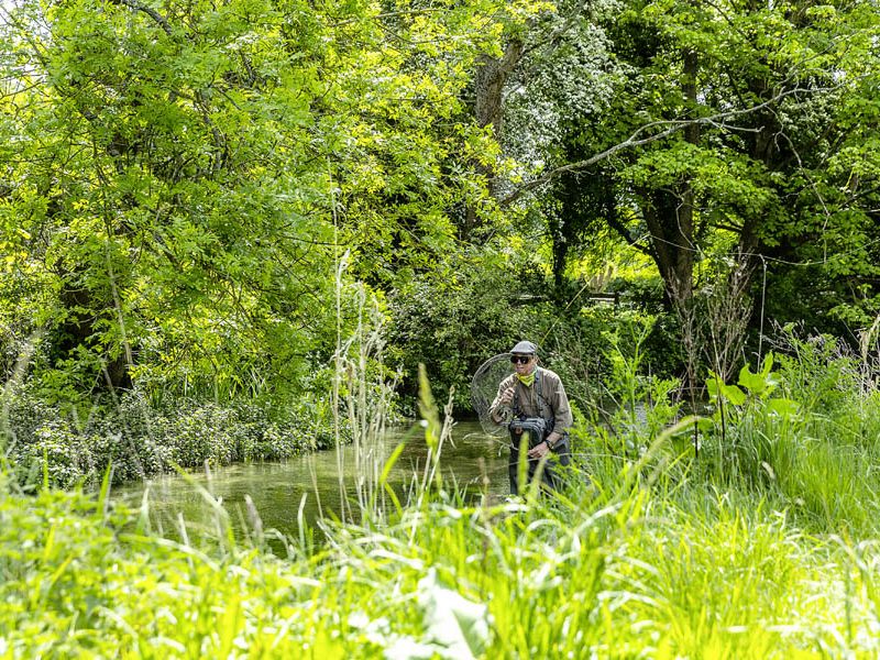 View of the River Meon