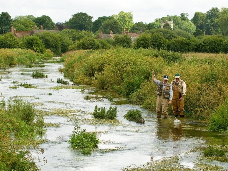 Wimborne St. Giles (Village Water)