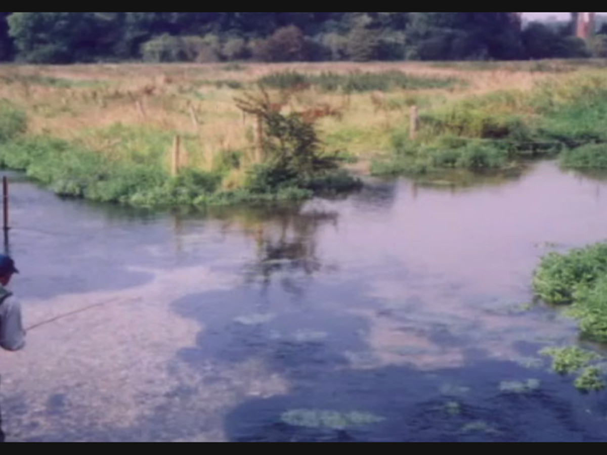 Screenshot of Famous Fishing Website
