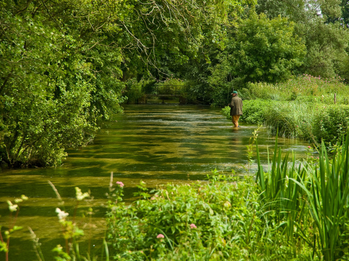View of the Whitchurch Fulling Mill fishing beat on the River Test