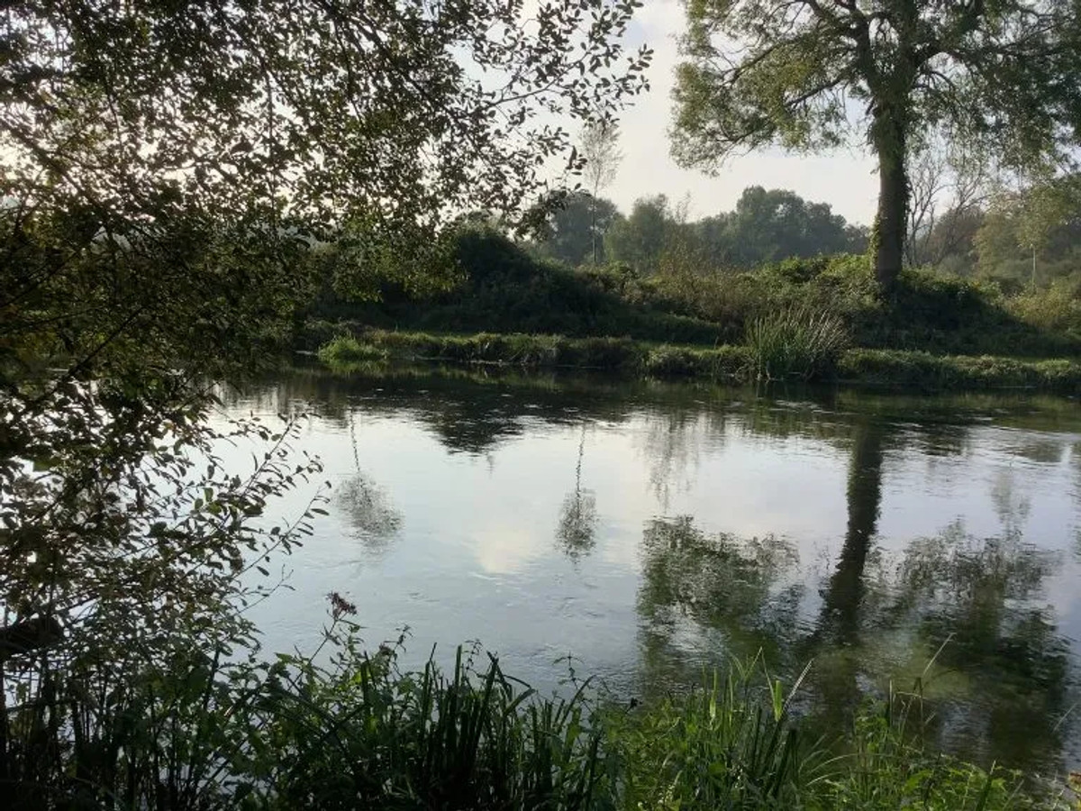 Picture of the river Test at Chilbolton