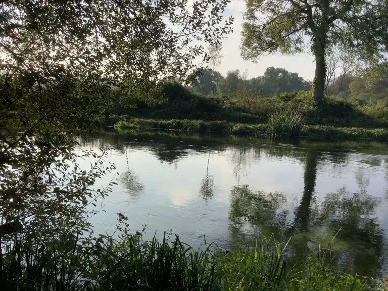 Picture of the river Test at Chilbolton