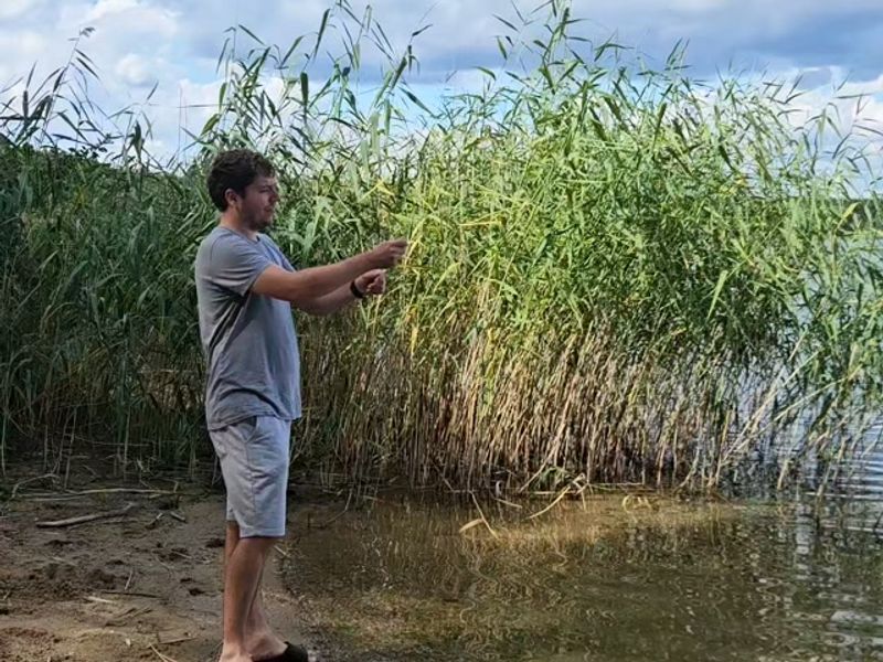 Practicing my casting part three!!!
#fishing #flyfishing #fishingbeats #fishfail #flyfishinguk