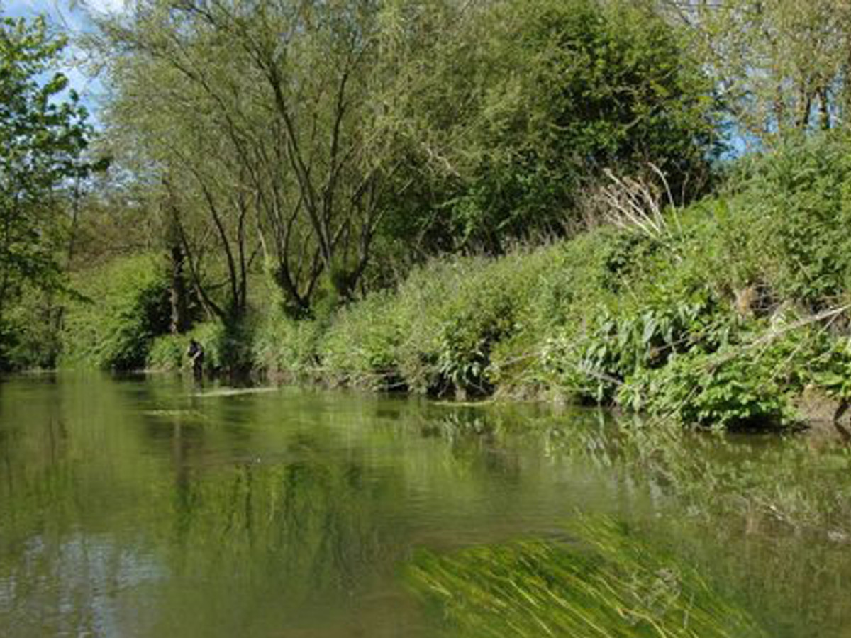 View of the Upavon Farm fishing beat on the River Avon