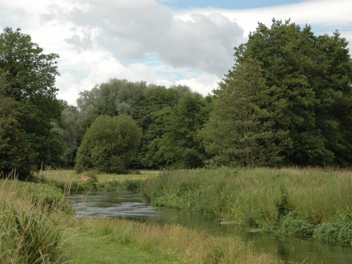 Picture of Dunbridge on the River Dun