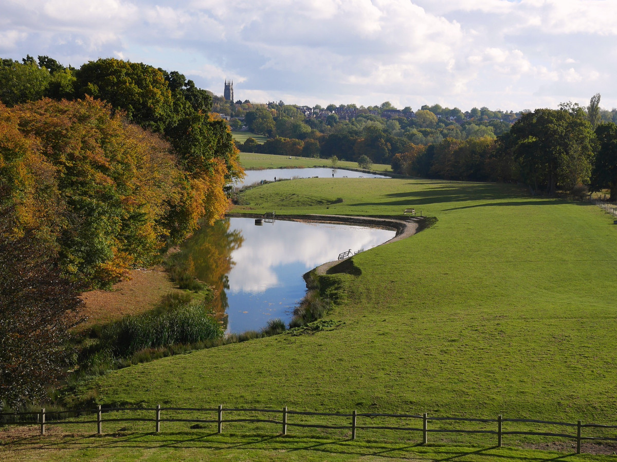 Tenterden Trout Waters