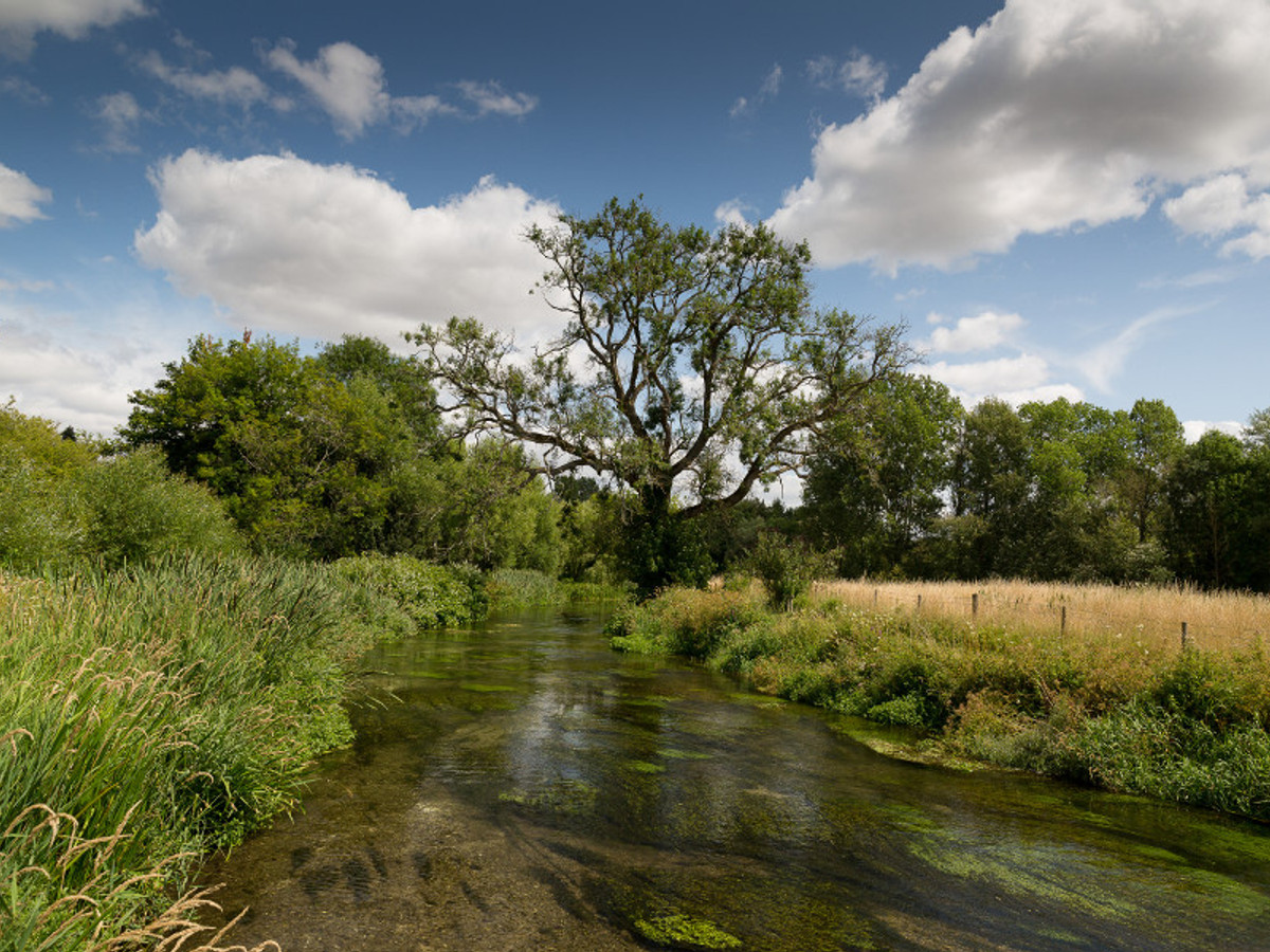 View of the Abbots Worthy fishing beat on the River Itchen