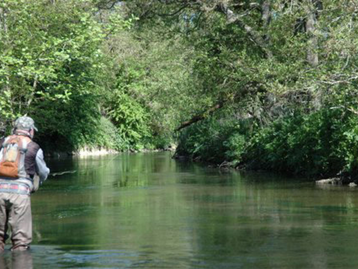 View of the Upavon Farm fishing beat on the River Avon