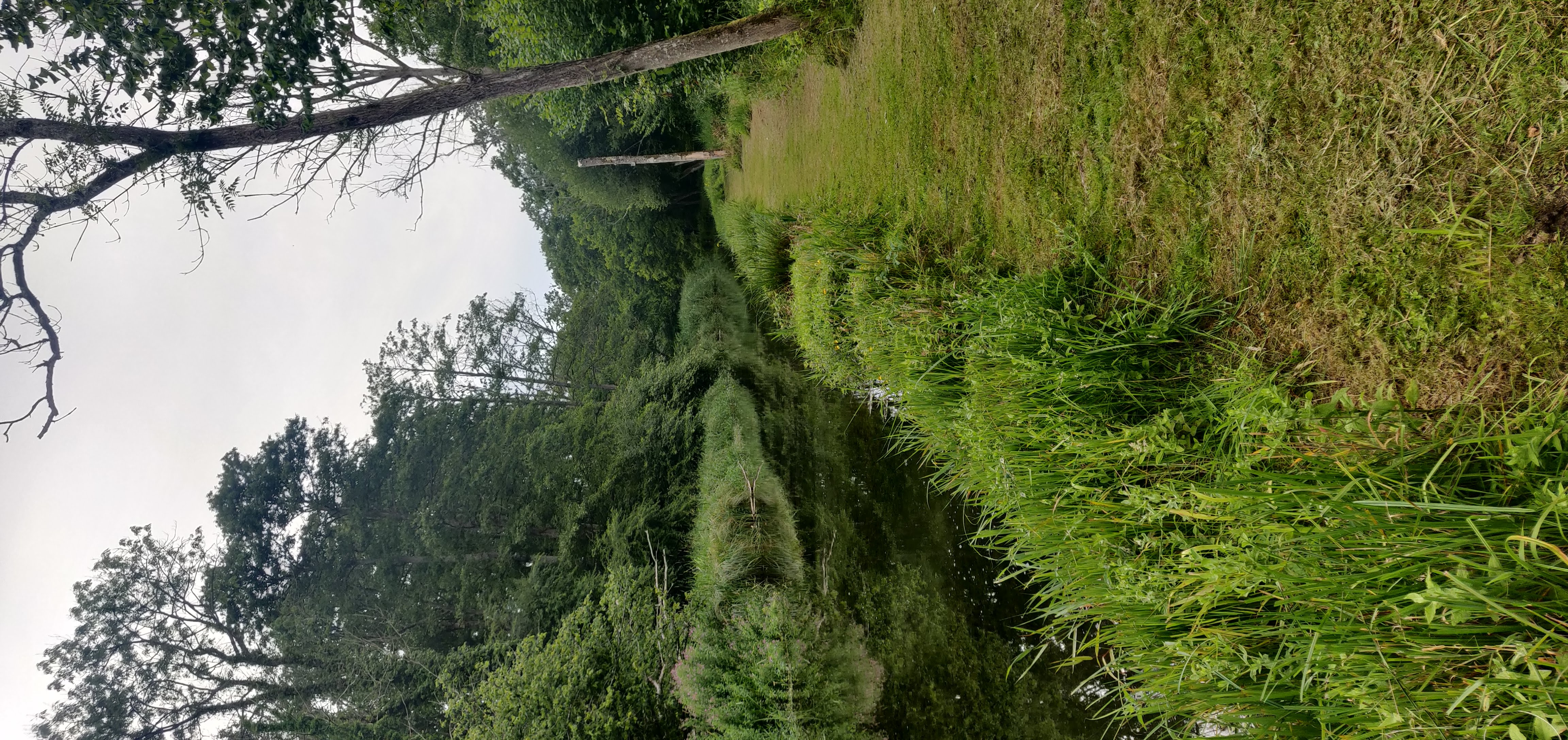 Picture of the river Dever at Bullington Manor Beat 4