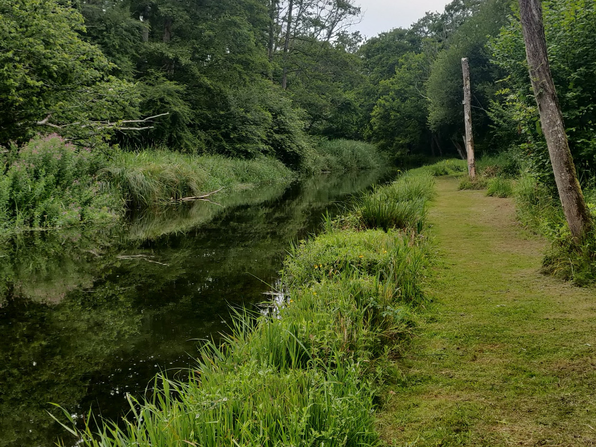 Picture of the river Dever at Bullington Manor Beat 4