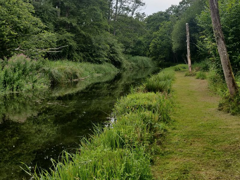 River Dever