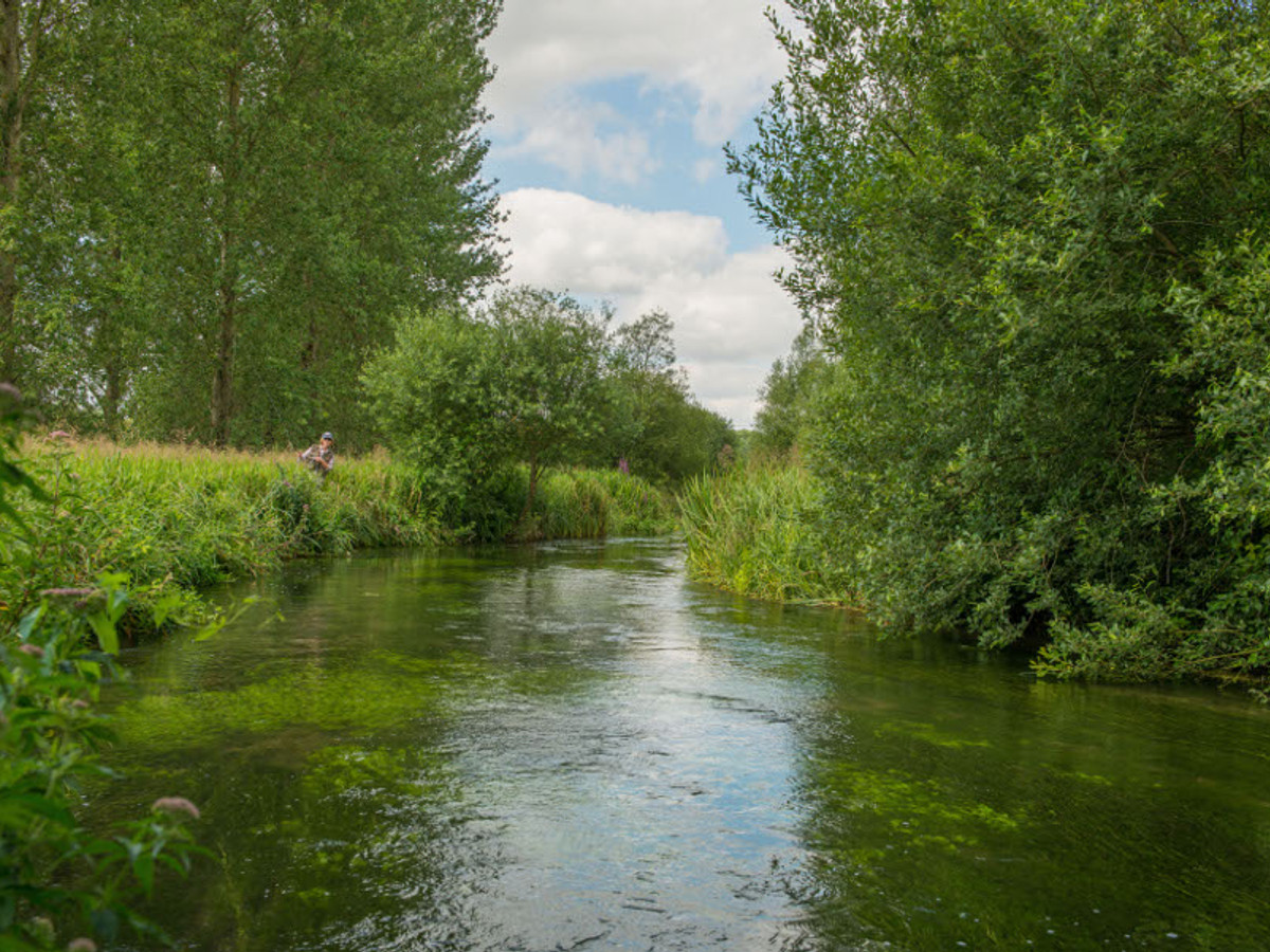 View of the Middleton fishing beat on the River Test