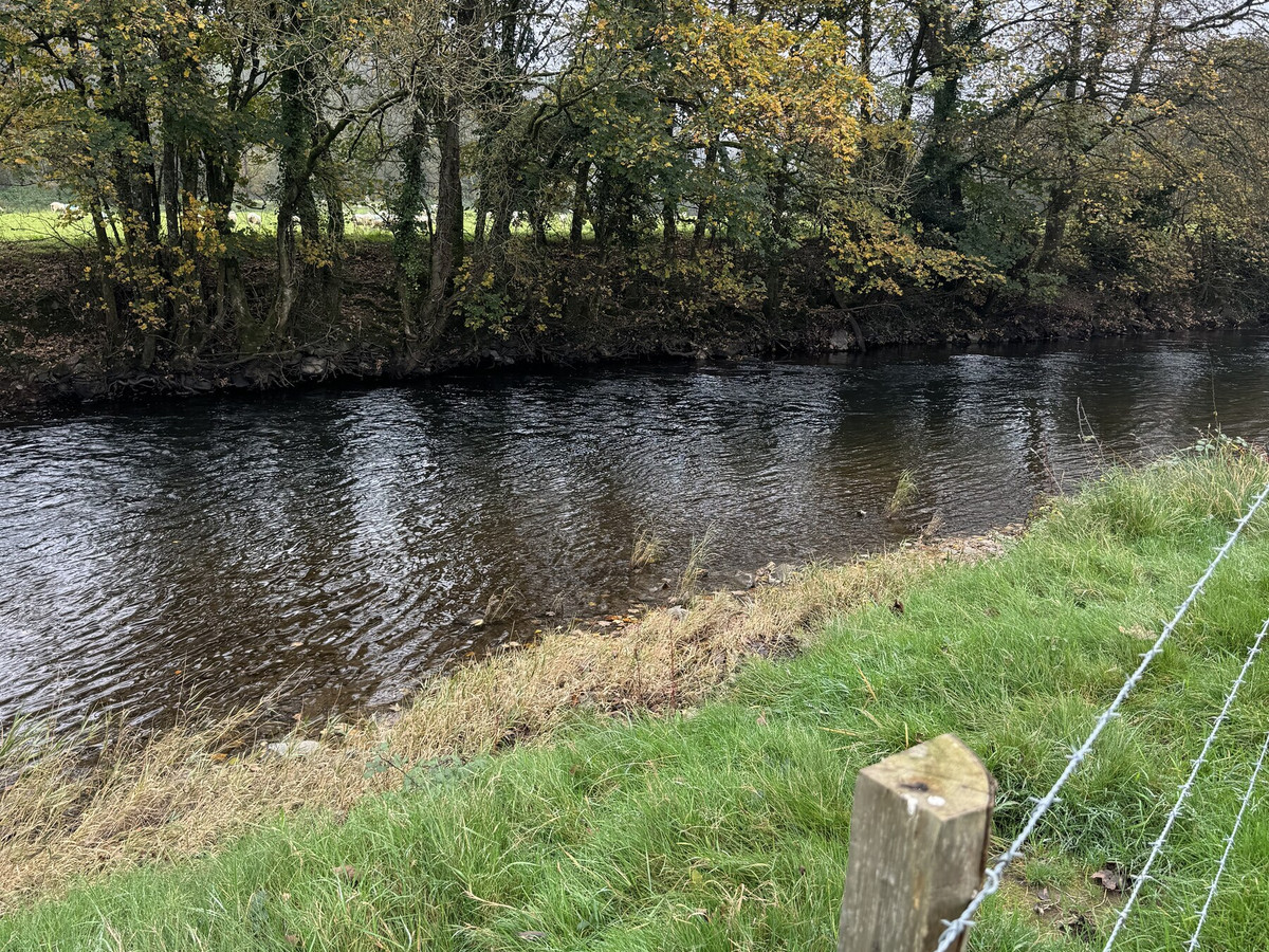 The River Exe on the Bickleigh Beat, Devon