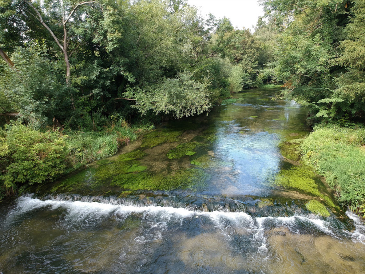 Picture of Shawford Park on the River Itchen