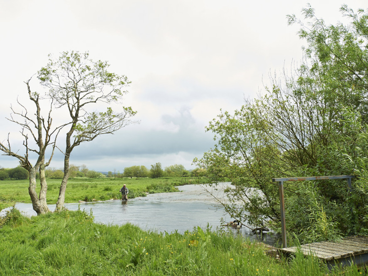 The River Frome is the cheapest chalk stream in England