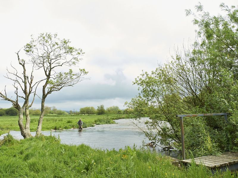 The River Frome is the cheapest chalk stream in England