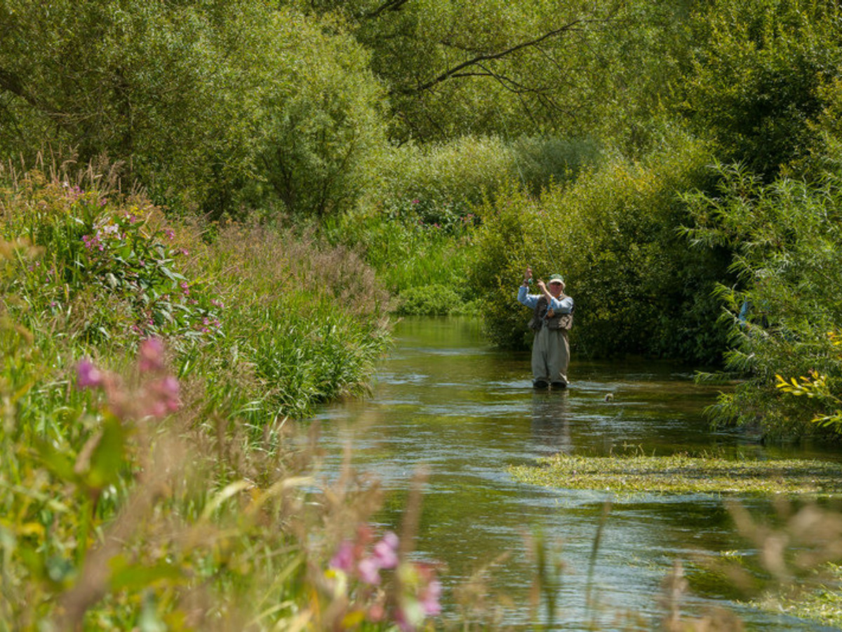 View of the Ilsington fishing beat on the River Frome