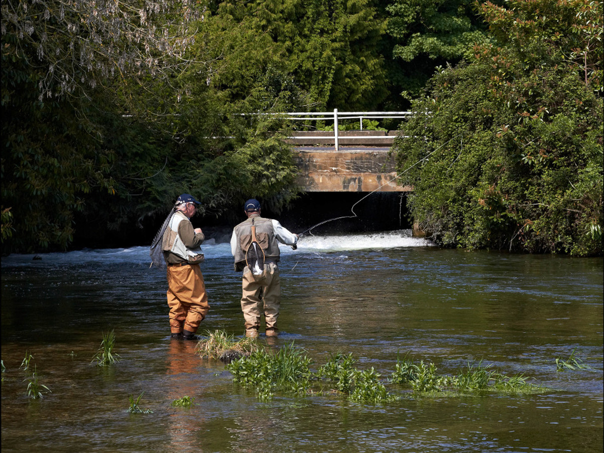 View of the Kimbridge fishing beat on the River Test