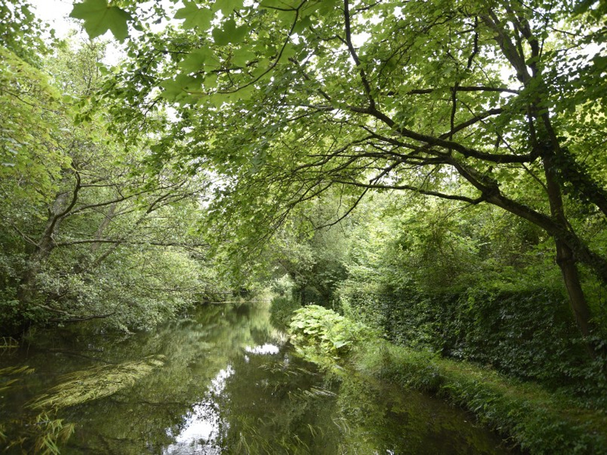 Picture of the river Itchen at Qing Ya Xi