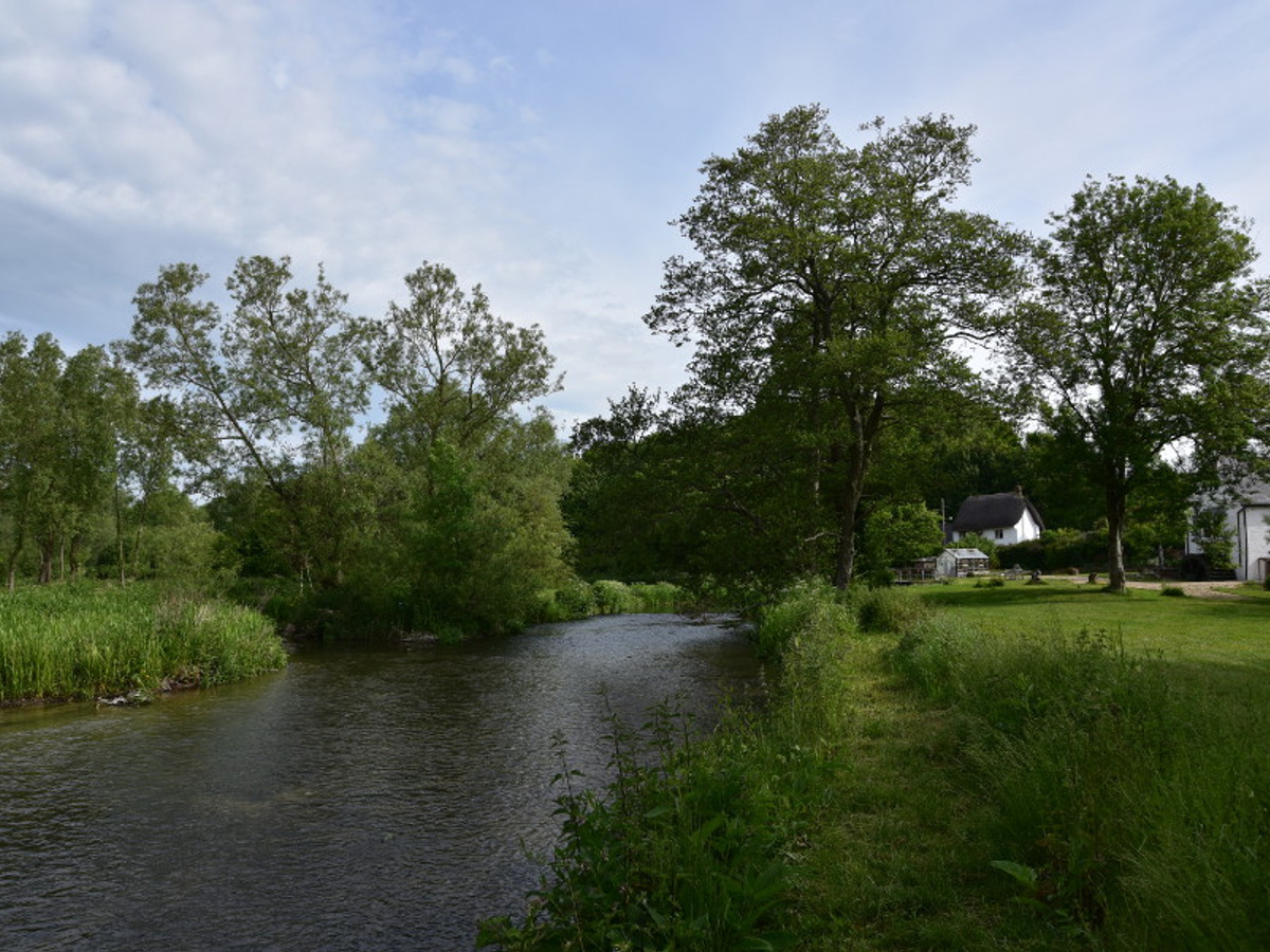 View of the Coombe Mill & Kingfisher Lodge fishing beat on the River Avon